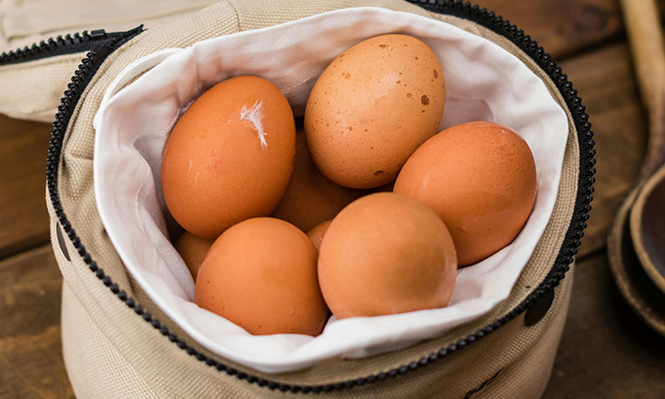 El huevo, una fuente de bienestar