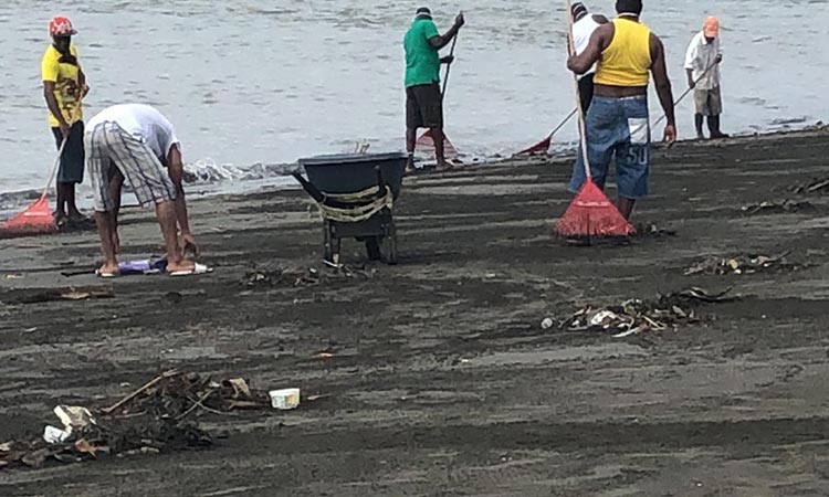 Peces muertos Buenaventura