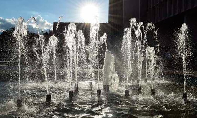 Altas temperaturas Valle