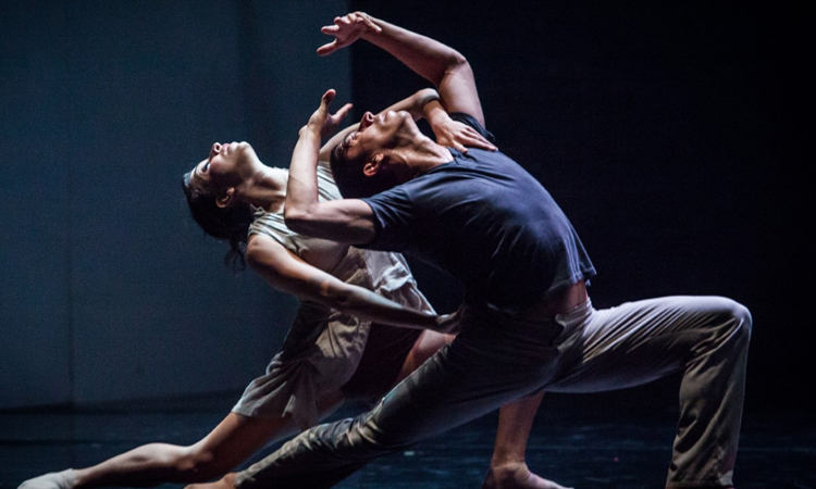 Convocatoria para obra en la Bienal de danza