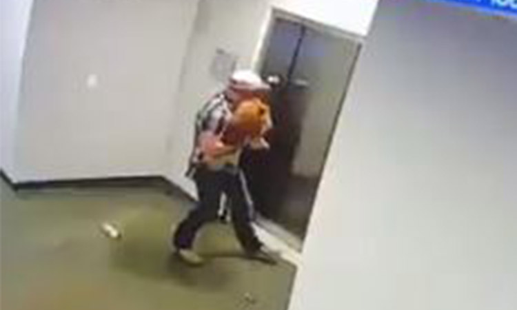Hombre salva a un perro de morir ahorcado por un ascensor