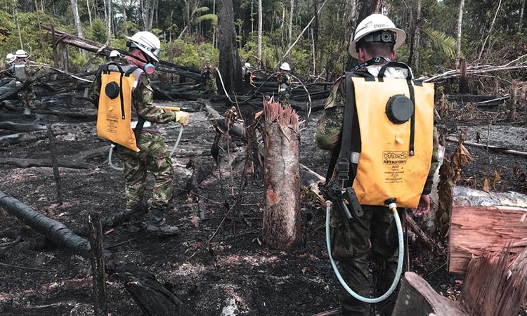 Serranía de la Macarena voraz incendio