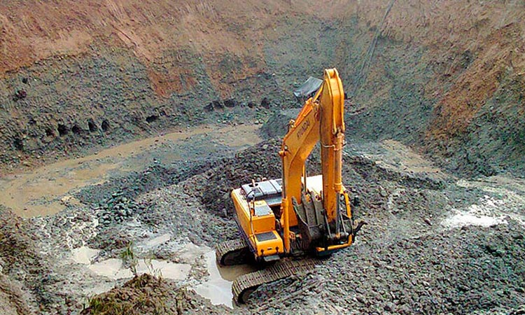 Minería afecta bosques