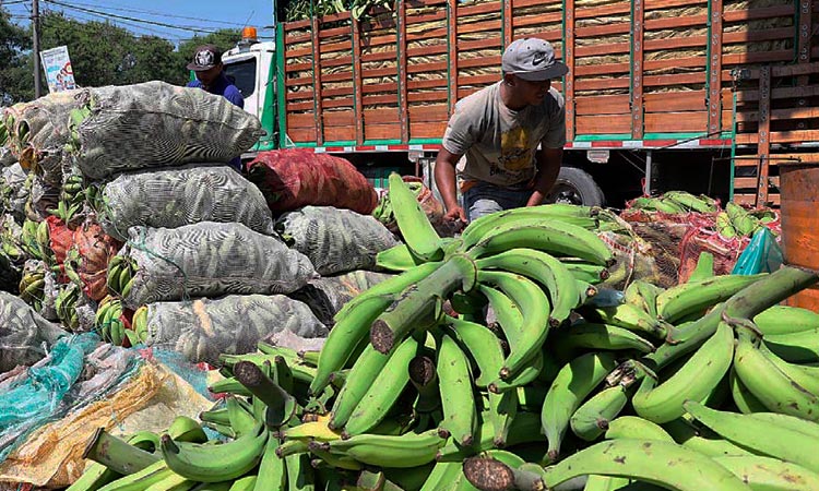 Cavasa con buen surtido de alimentos