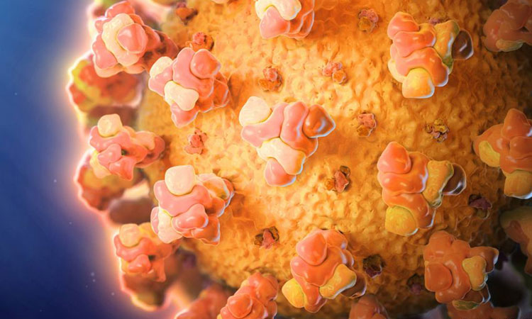 ¿Qué es exactamente el coronavirus?