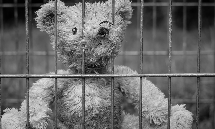 Senado aprobó cadena perpetua para violadores y asesinos de niños