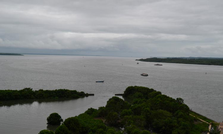 Microplásticos ahogan bahía de Buenaventura