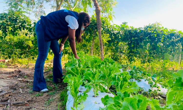 Mercado campesino este viernes en la plazoleta Jairo Varela