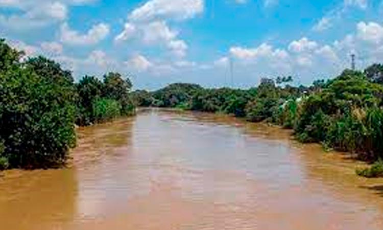 Alertan sobre extinción de peces de agua dulce