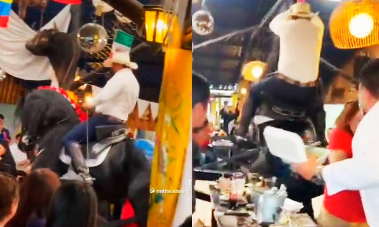 video accidente caballo