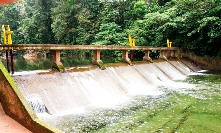 Solicitan análisis de metales a agua de Buenaventura