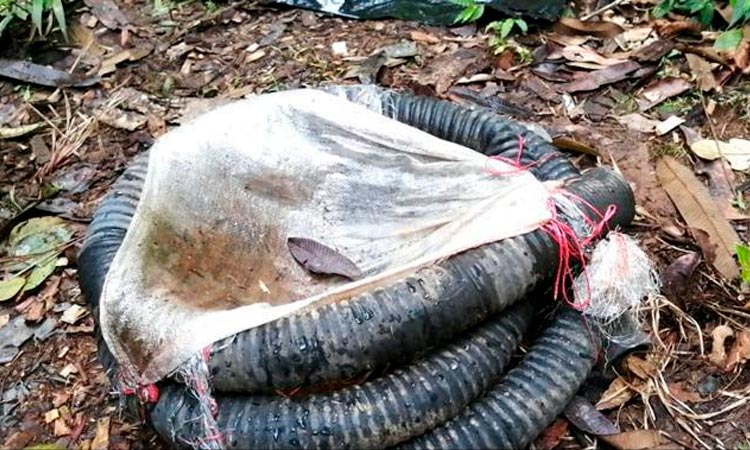 Minería está prohibida en río Escalerete