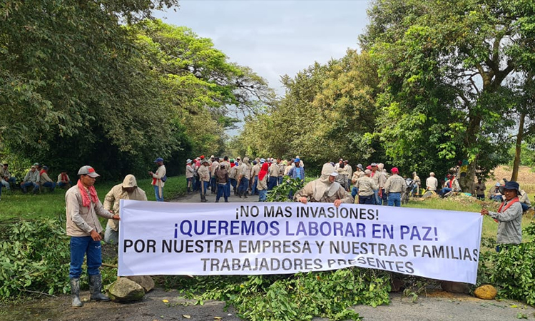 Crece tensión por invasión a tierras en Cauca