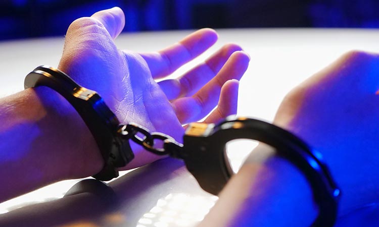ladrones desnudos bogotá