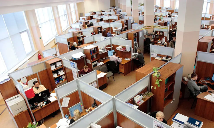 Desempleo en julio corrigió brechas pero siguen problemas estructurales: Anif
