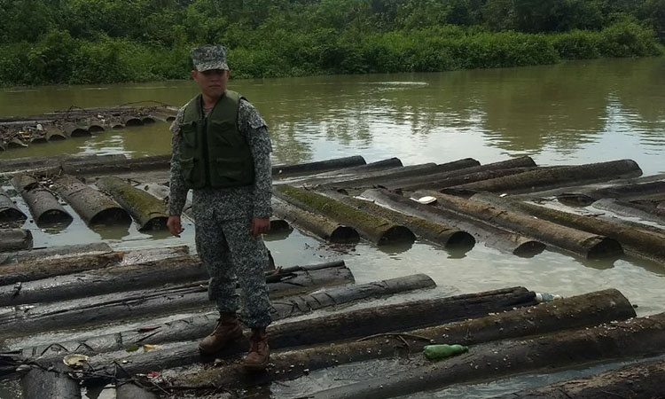 Avanza lucha contra deforestación