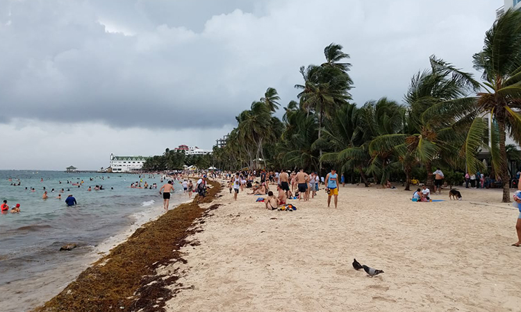 ¿Qué tan amenazado se encuentra San Andrés con la tormenta tropical Julia?
