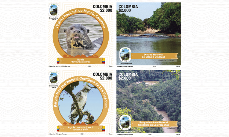 Parques Nacionales hace reconocimiento a Orinoquia
