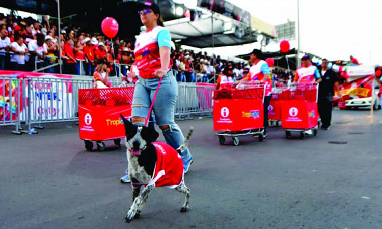 Salsódromo Feria de Cali