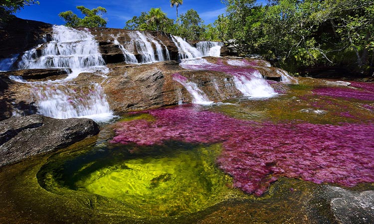 Fuertes multas a quien visite Caño Cristales