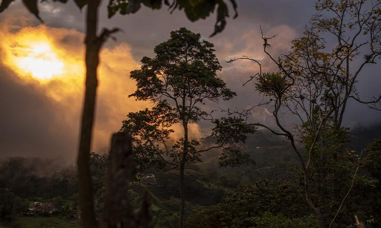 Minambiente-lanzo-estrategia-Sin-fuego-cero-incendios