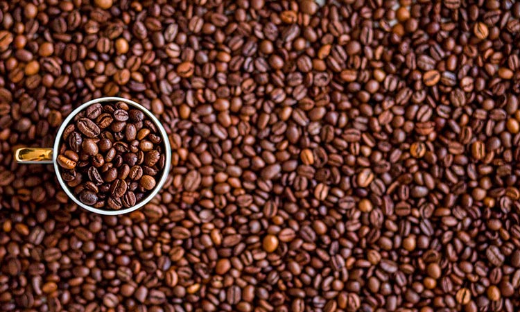 Crece producción de café