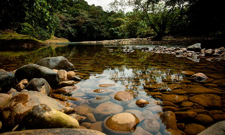 Empresarios de seis países buscan las mejores experiencias turísticas del Valle del Cauca