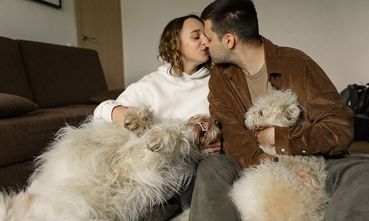 ¿Los perros sienten celos de la pareja de sus humanos?