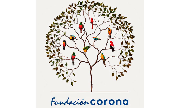 Fundación Corona completa 60 años