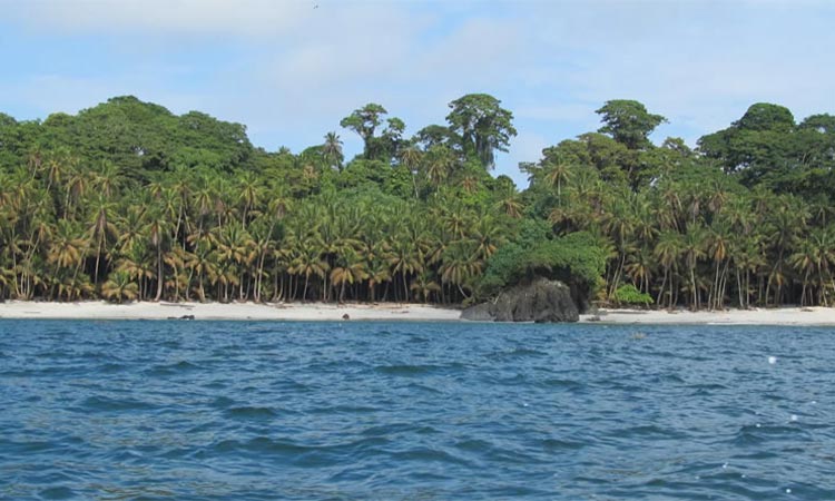 Programe encuentro con la naturaleza en vacaciones