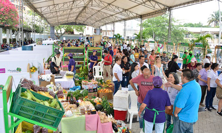 200 productores estarán en la Vitrina Verde