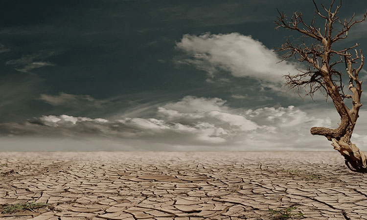 Conozca qué es el cambio climático en un lenguaje sencillo