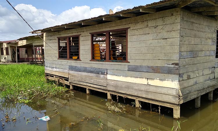 ELN suspendió paro armado en Chocó