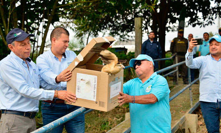 Cambio climático CVC