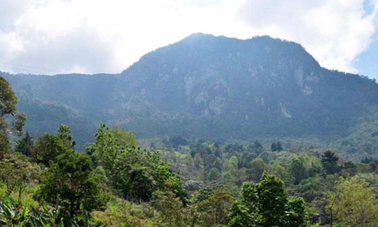 Minería ilegal, un flagelo a controlar en los Farallones de Cali