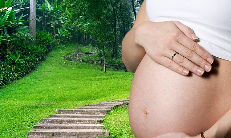 Retos de una mamá ambientalista