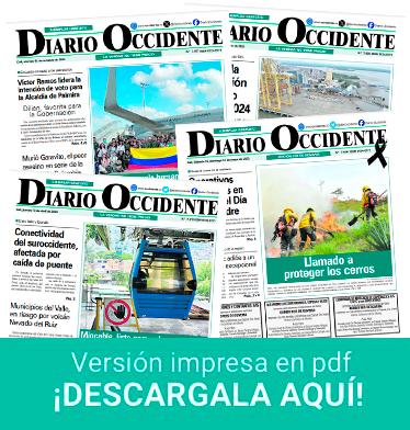 pdf diario