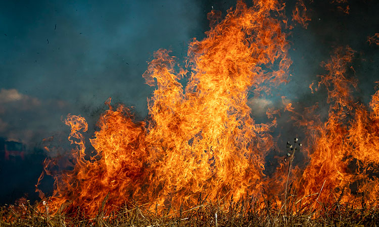 Vea que paso con el incendio Forestal que duró 24 horas en Yumbo