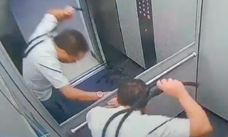 maltrato animal en ascensor en itagüi
