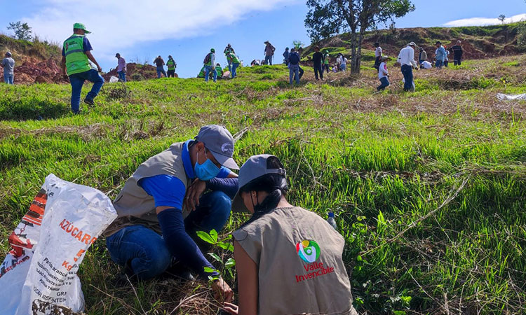 Valle a la vanguardia en mitigación de cambio climático