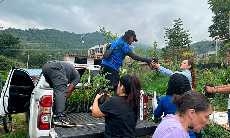 Cali recupera cobertura forestal