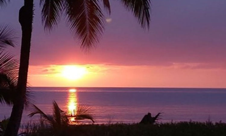 Polémica entre gobierno y ambientalistas por isla Gorgona