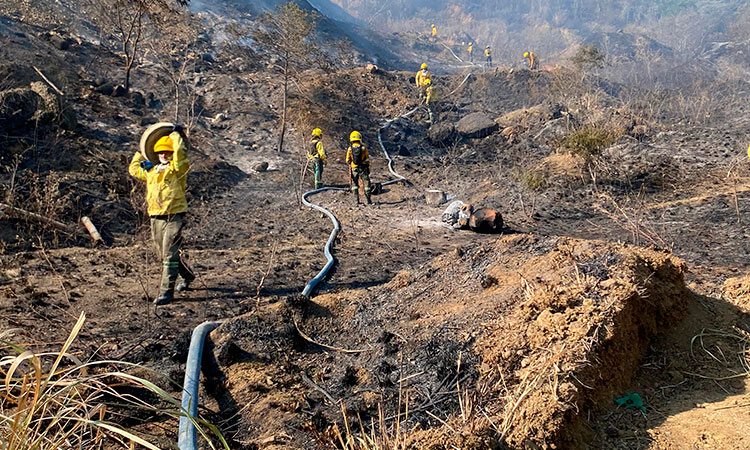 Cali: Incendio forestal en la vereda Los Limones durante más de 28 horas