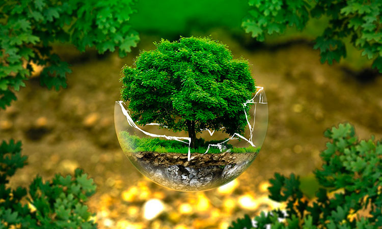 Higiene sostenible, la revolución verde