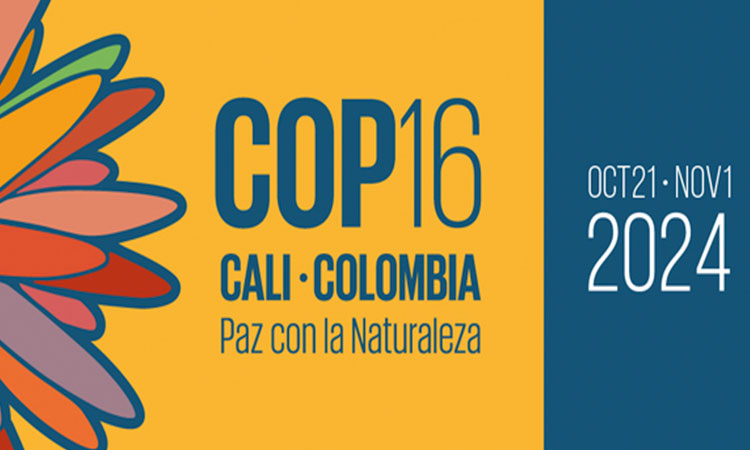 Cali presente en el logo de la COP 16, resaltando así su rol como sede