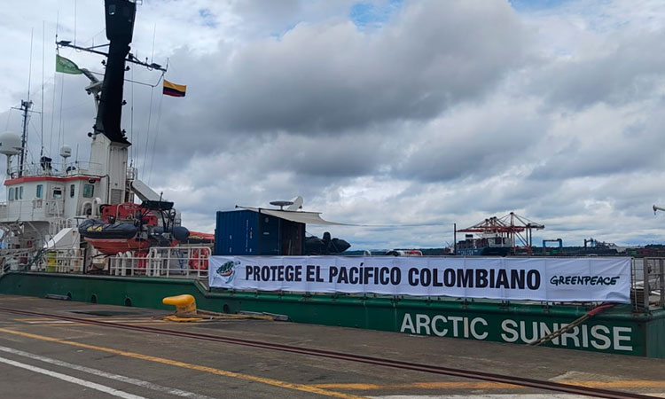 Greenpeace desembarca en Colombia con un llamado a la acción por la biodiversidad del Pacífico