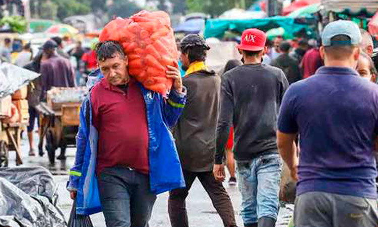 Violencia en Cauca afecta precios de los alimentos