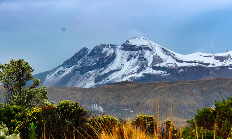 Adelantan acciones para proteger los Nevados