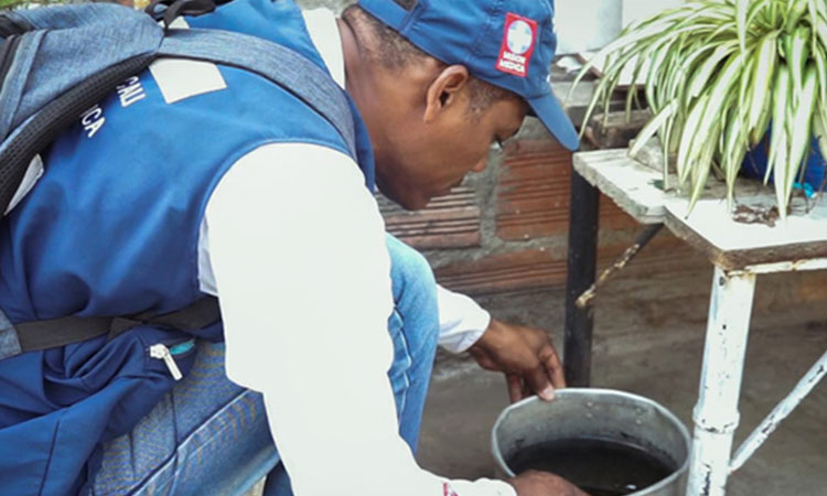 Brote de dengue en Cali sigue en aumento: 17.227 casos confirmados en el 2024