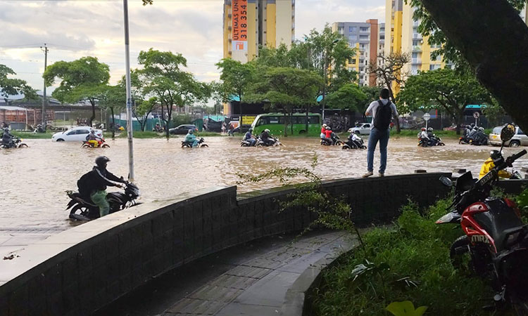 Inundaciones, árboles caídos y cortes de energía por fuerte aguacero en Cali
